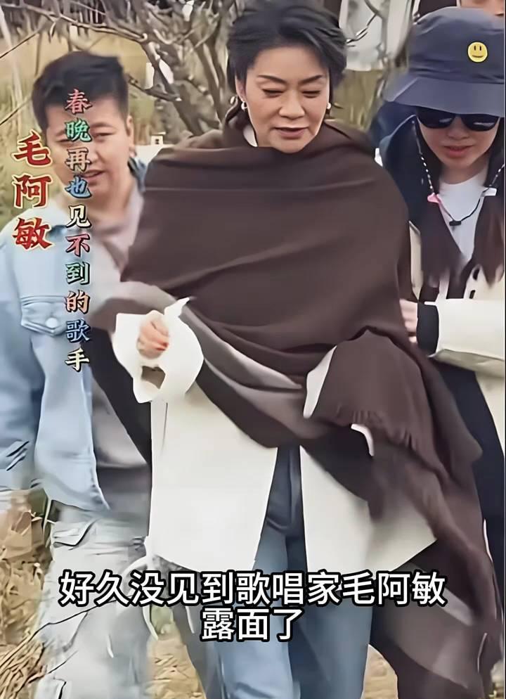 春晚再也见不到的歌手毛阿敏。好久没见到歌唱家毛阿敏露面了，60岁的她看着苍老了