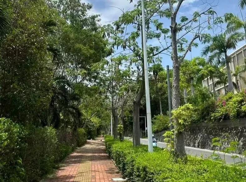 我同学是三亚的，他给准备去三亚旅游的朋友提了4点建议：1、带几条长裤，不要穿拖