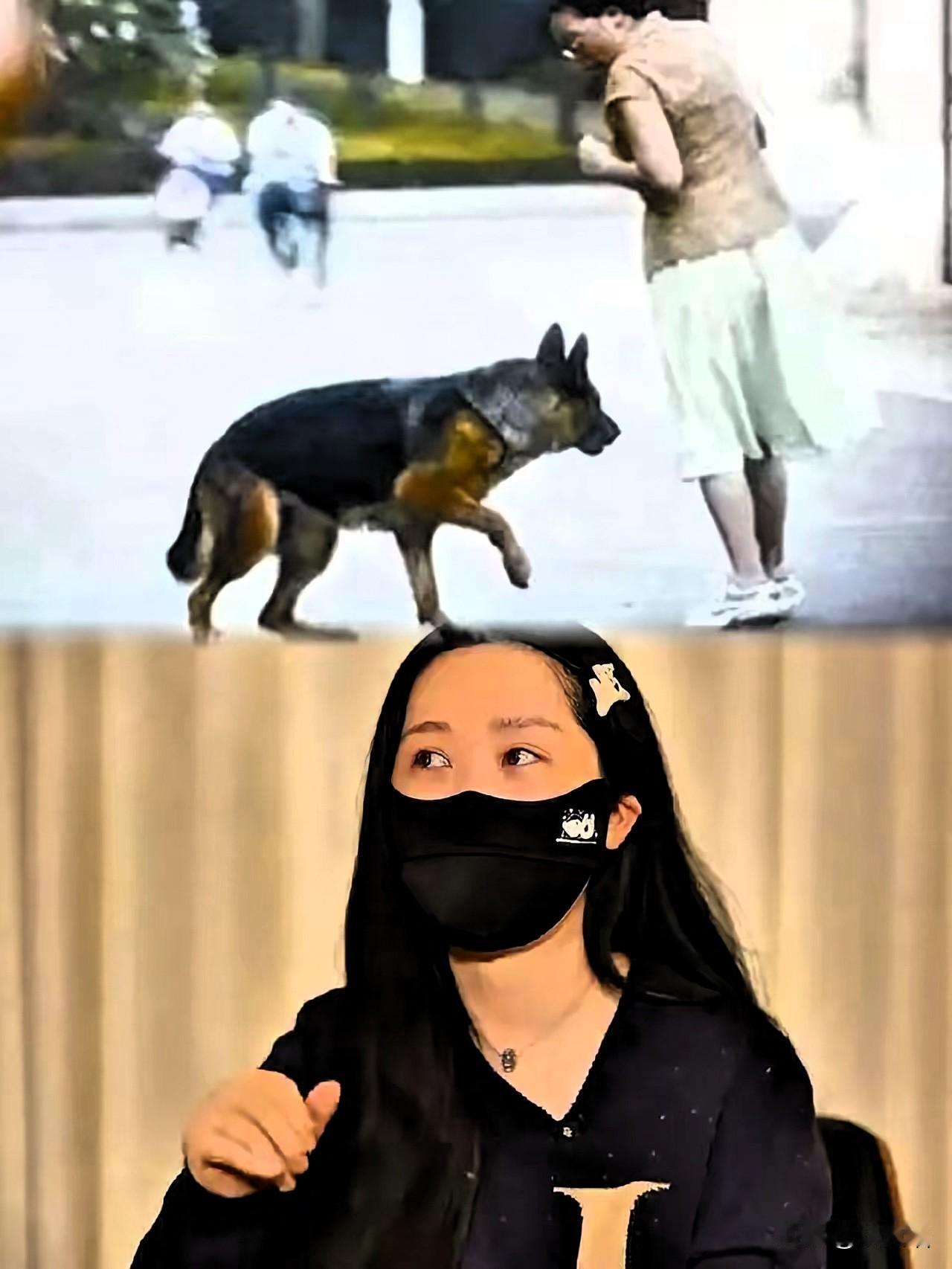 社区养狗争议早就不只是遛狗牵绳的小事了！北京李女士为被毒宠物维权800天，可有