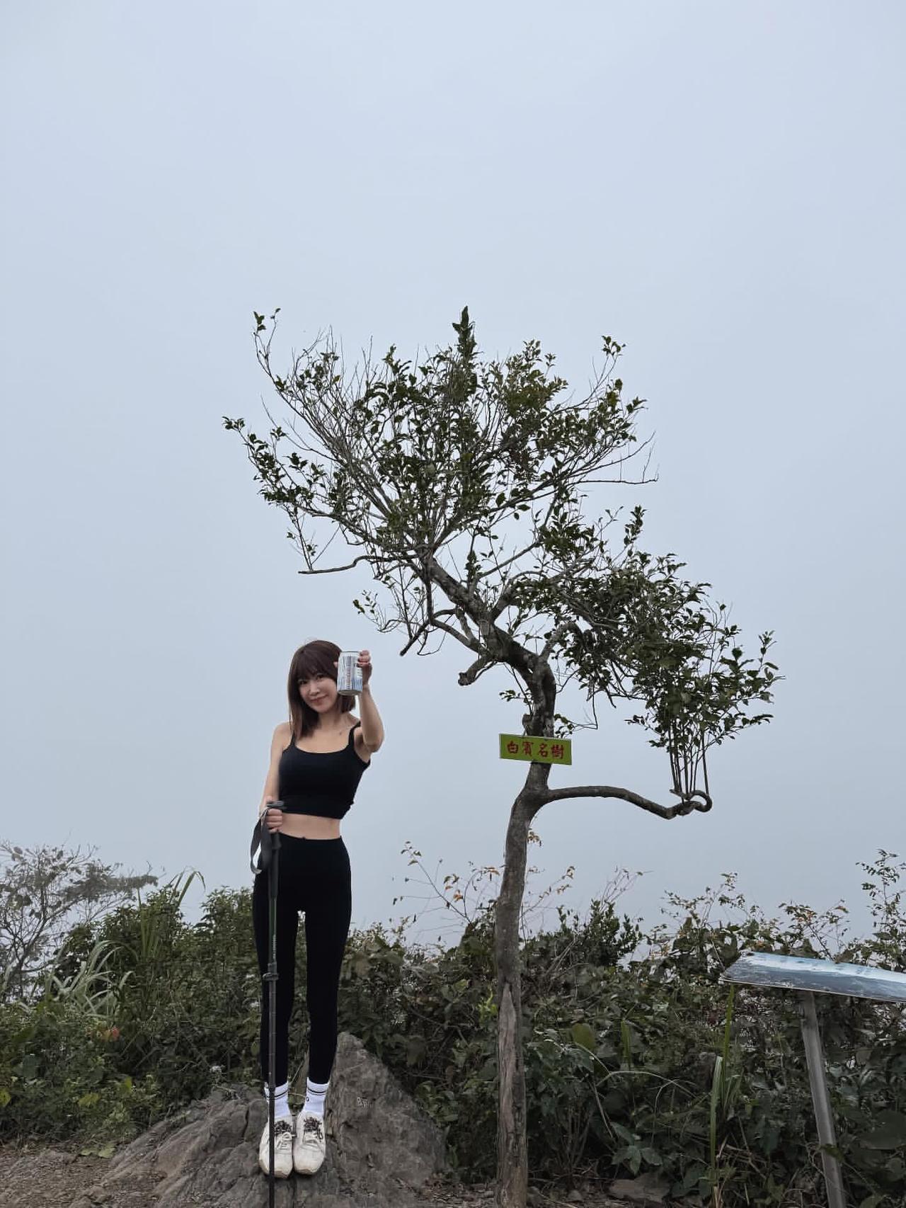 阳光洒肩，风景入怀