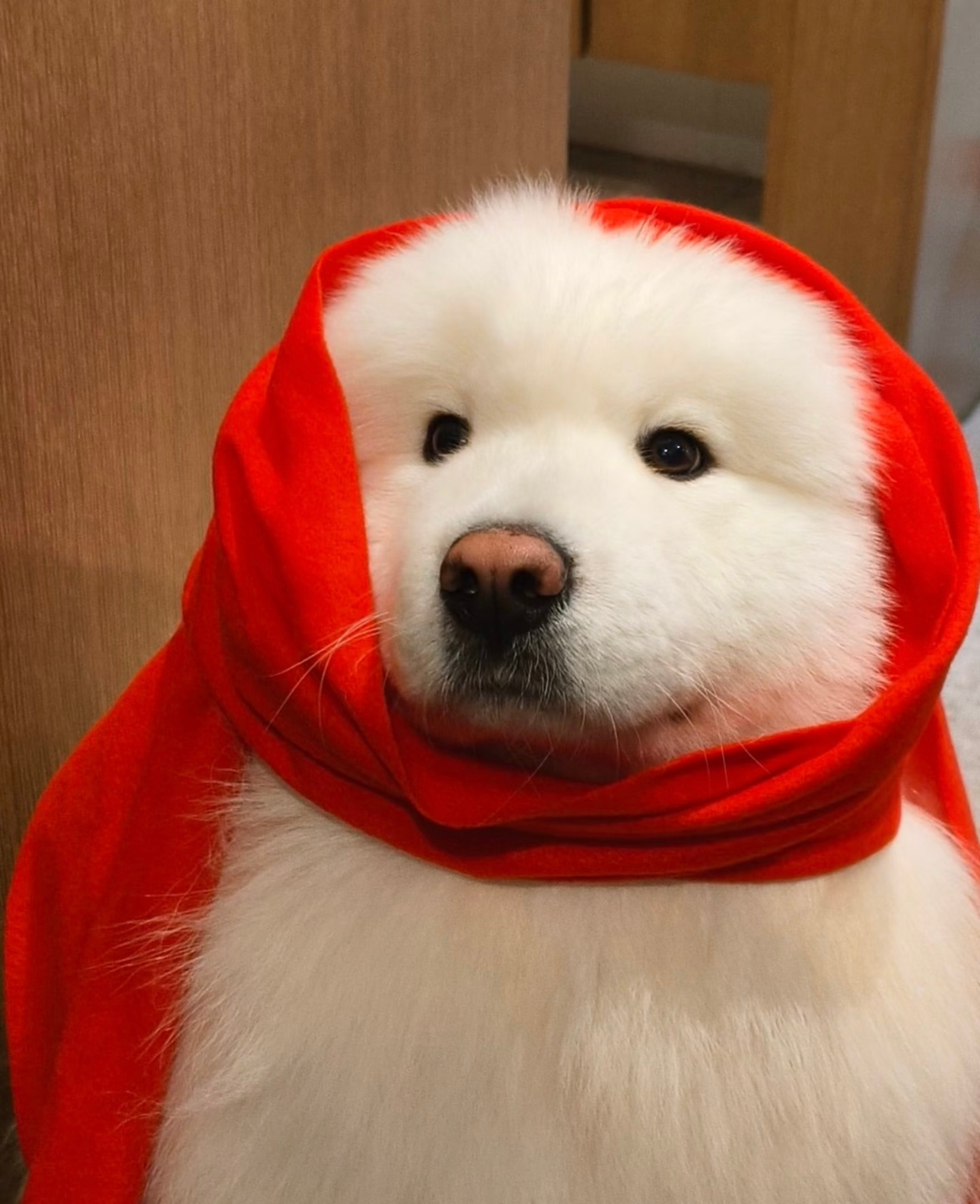 开门，是我，耶外婆