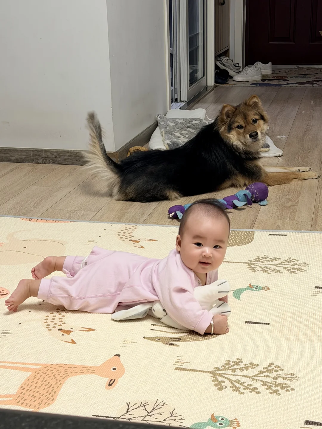 小狗和小孩本质是一样的……