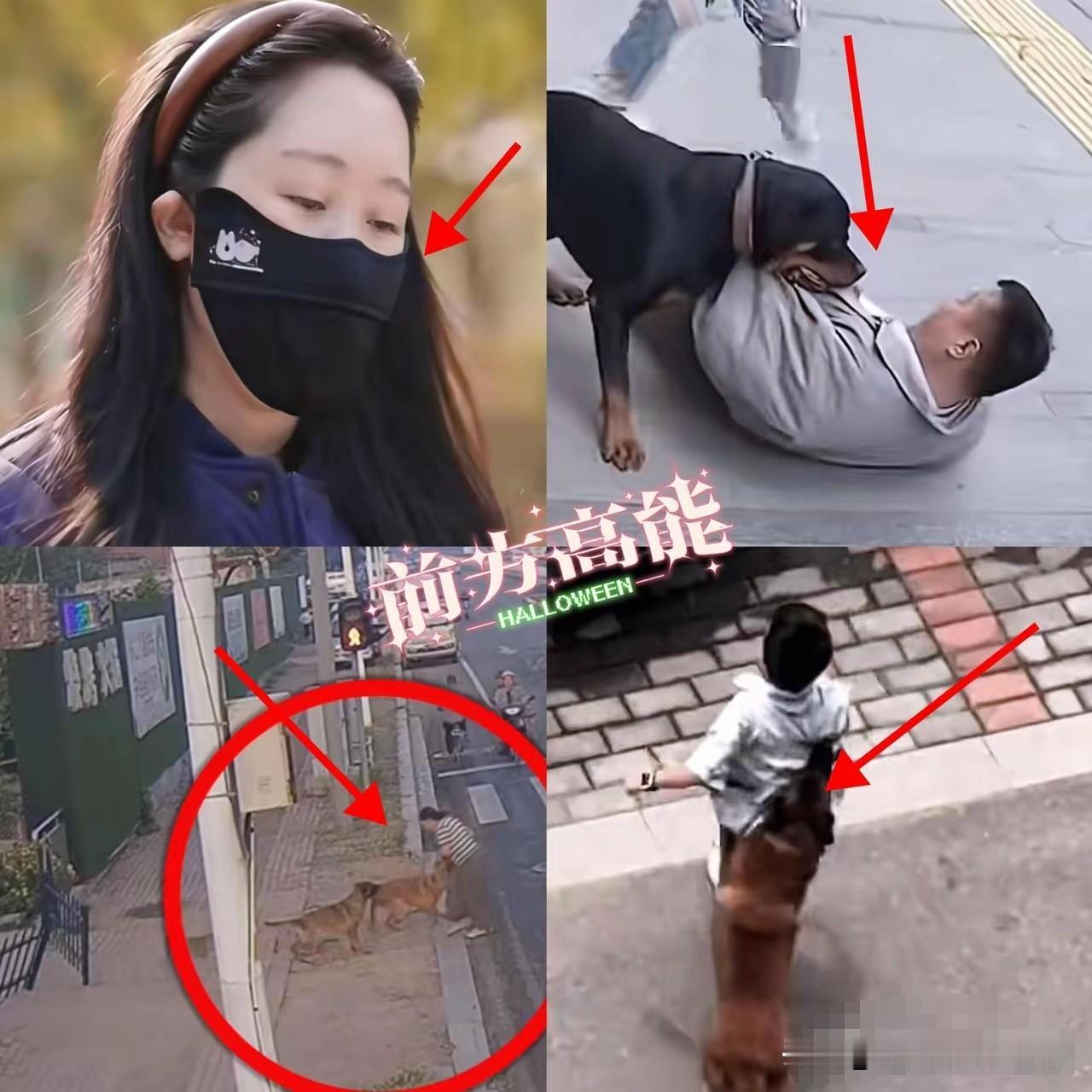 网友们态度不一样的两件事：第一件事，是关于狗咬人的。前几天，南京一条恶犬咬伤路