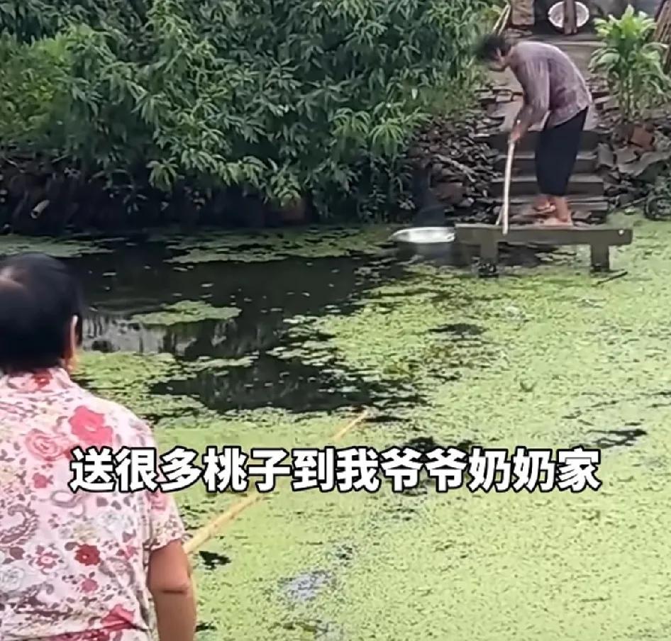 老妪隔岸推盆乐，皆得其乐四十载！71岁老人与隔岸的邻居老太隔着一条小河，相互投喂