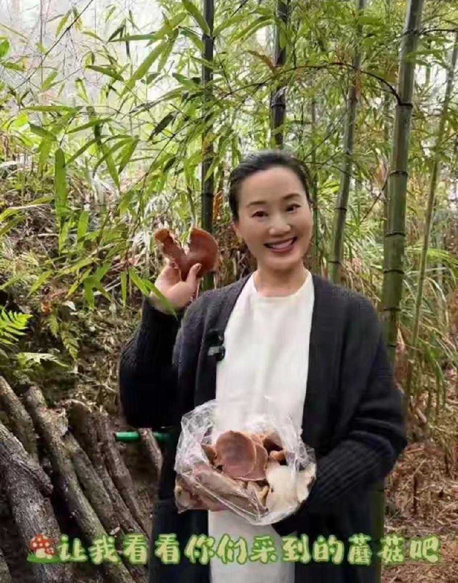 反差太大！林依轮54岁妻子进山采蘑菇，冻龄脸配白发太真实林依轮54