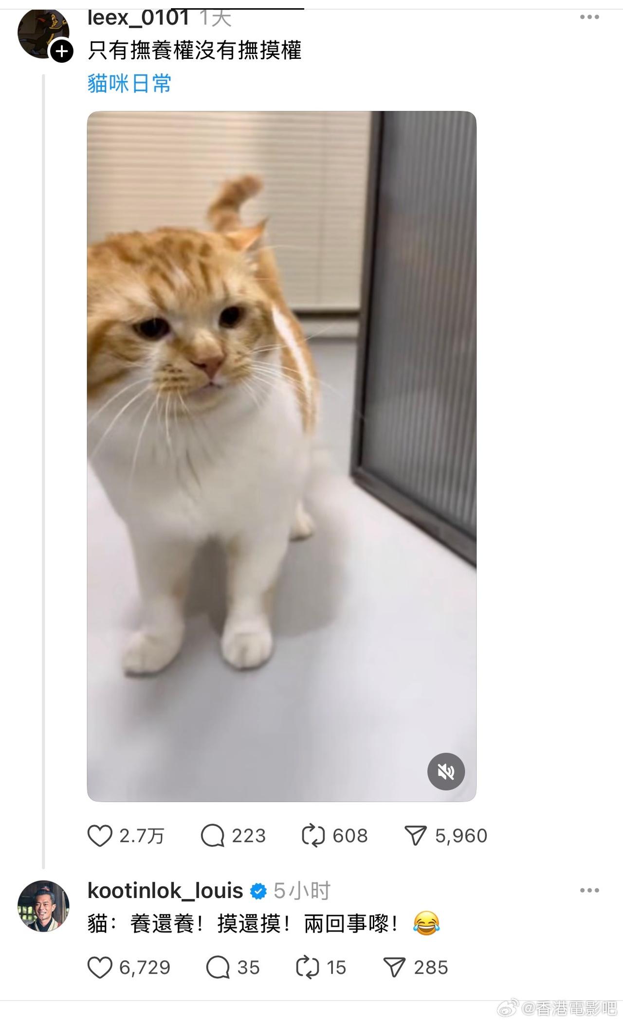 古天乐每天两眼一睁就开始上网撸猫🐱​​​