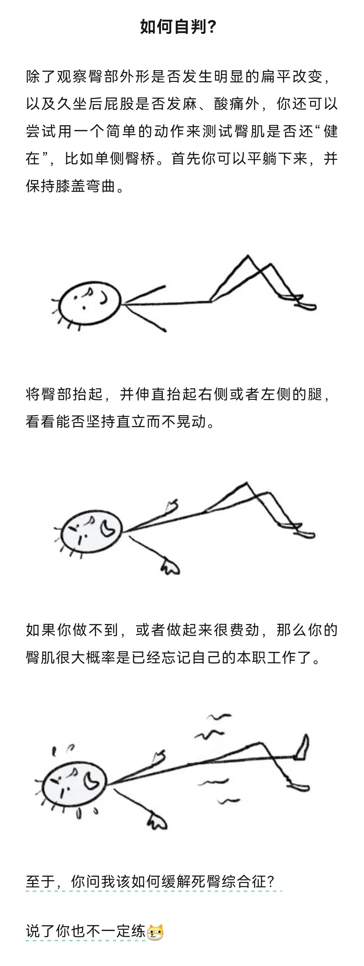 【什么？屁股也会“死亡”？】肌肉也遵循用进废退原则，如果臀肌不长时间工作，它们也