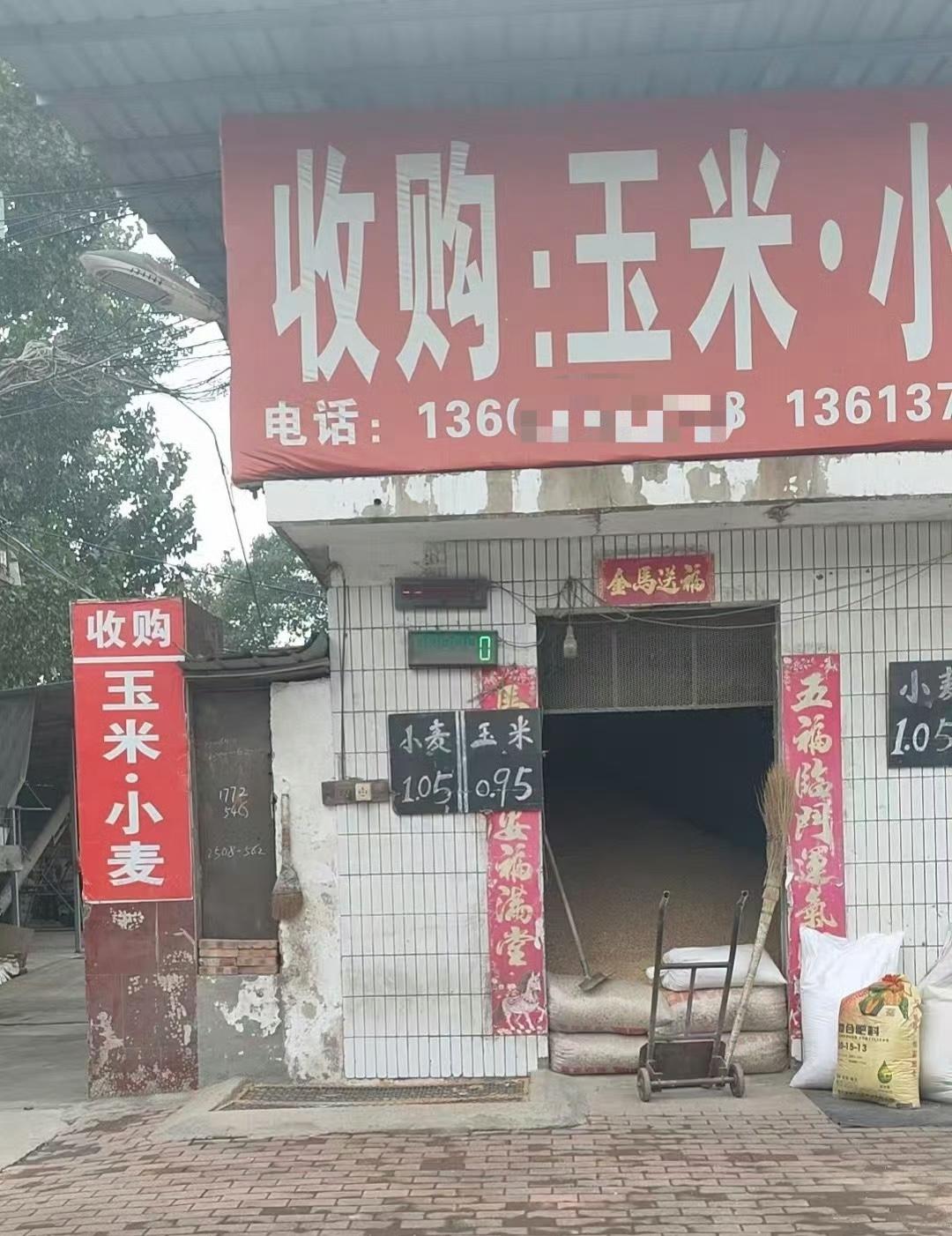 河南某乡镇粮贩子收粮小麦1.05、玉米0.95，价格一如既往的稳定，为什么年轻人