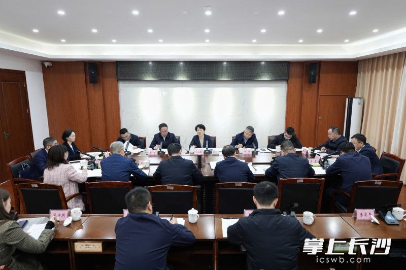 吴桂英调研浏阳市经济社会发展情况