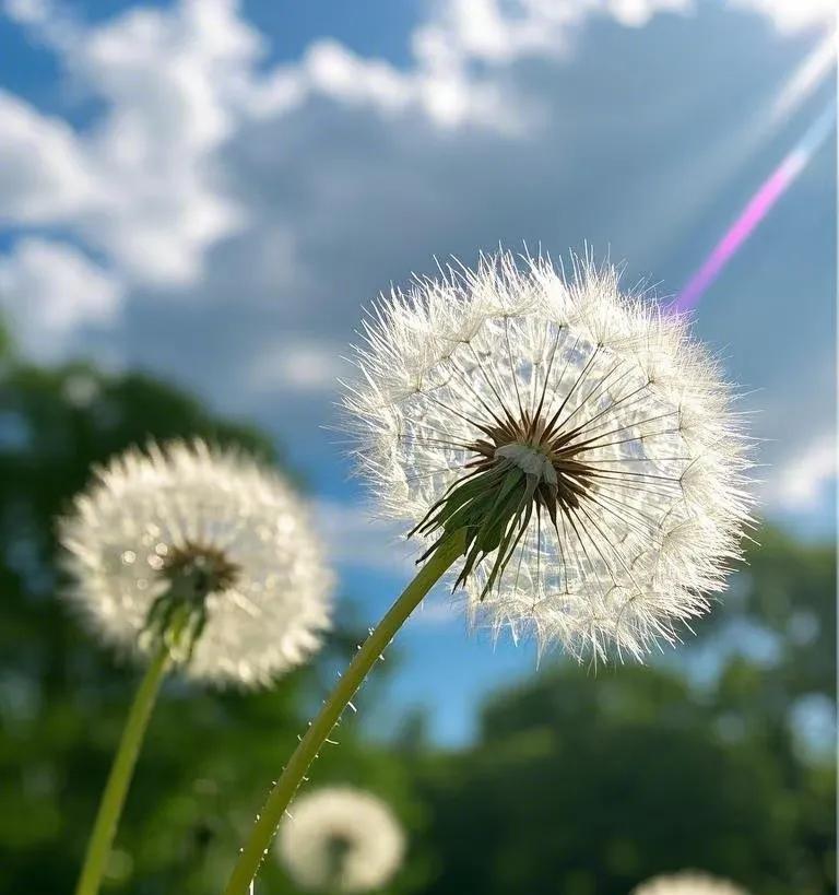 弘一法师说：人若有福，天必赐苦，正所谓大富大贵之人，必有大磨难。当你快挺不住的时