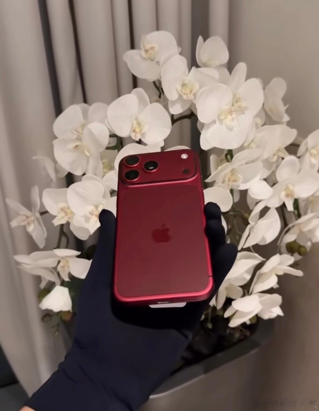 这就是传说中的的iPhone18Pro…勃艮第红？