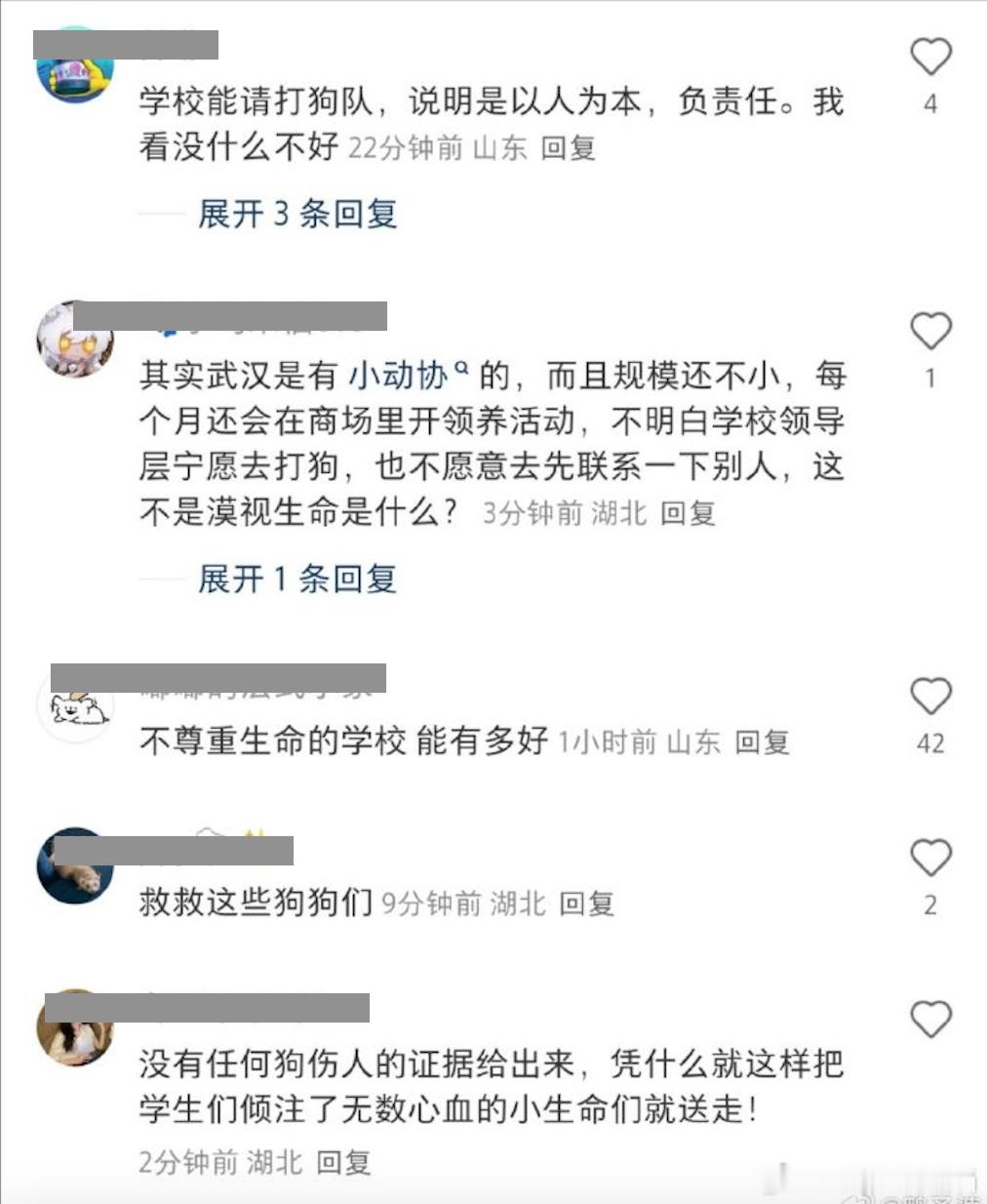 湖北大学清理校园流浪猫犬，值得好评。前些日，看到华科也有类似动作，这才是高校应该