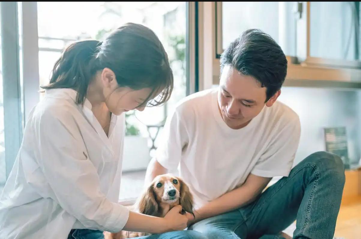 我以为生孩子是保险，结果70岁时发现——孩子不是防线，是定时炸弹"他70岁了