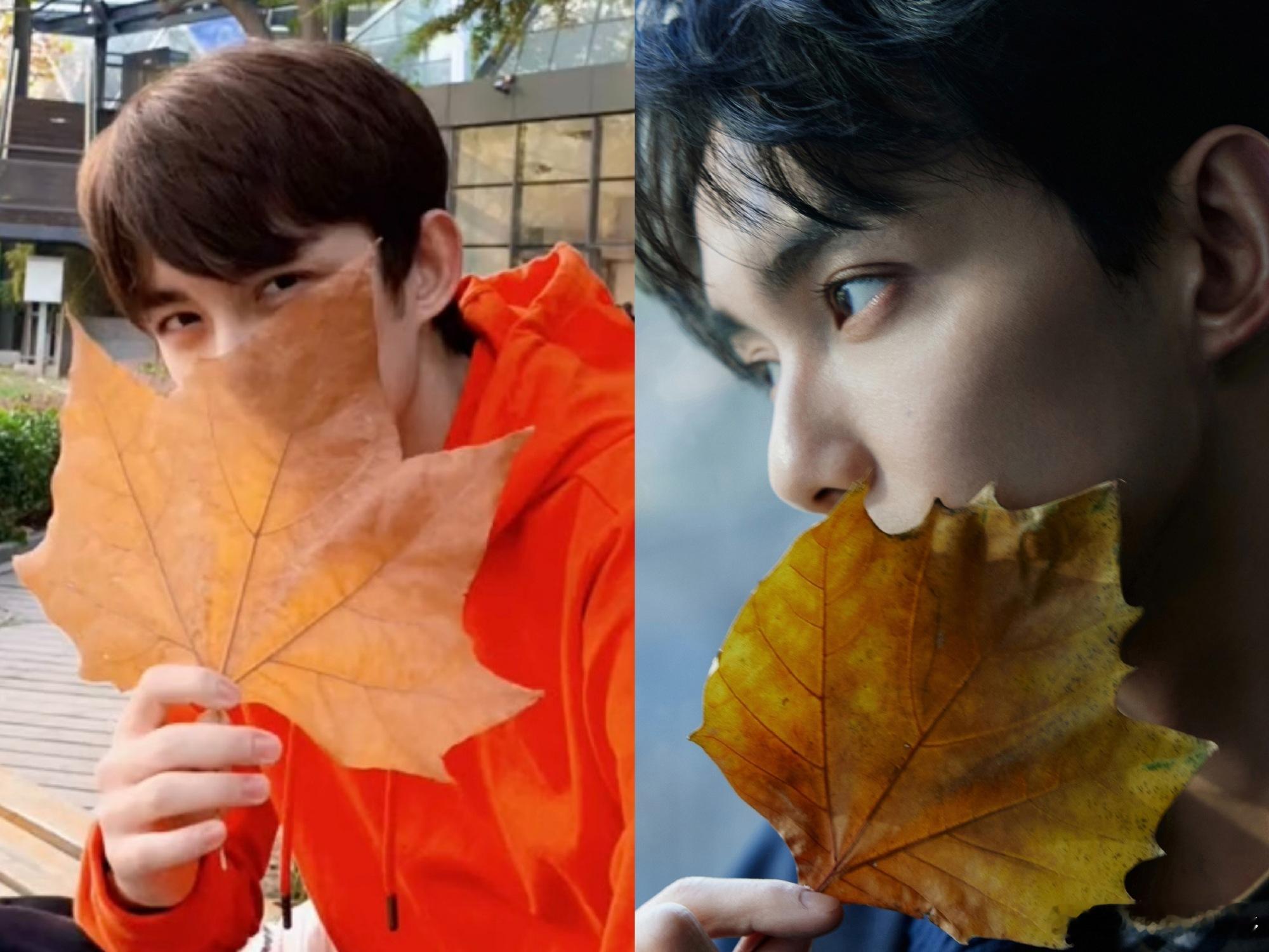 勾人的事吴磊顺手就做了同样是触碰枫叶，十八岁是少年感十足，二十五岁则是沉稳的熟