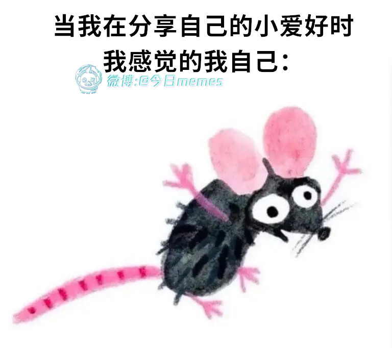 我说狗洞好（9gag）今日meme今日memes