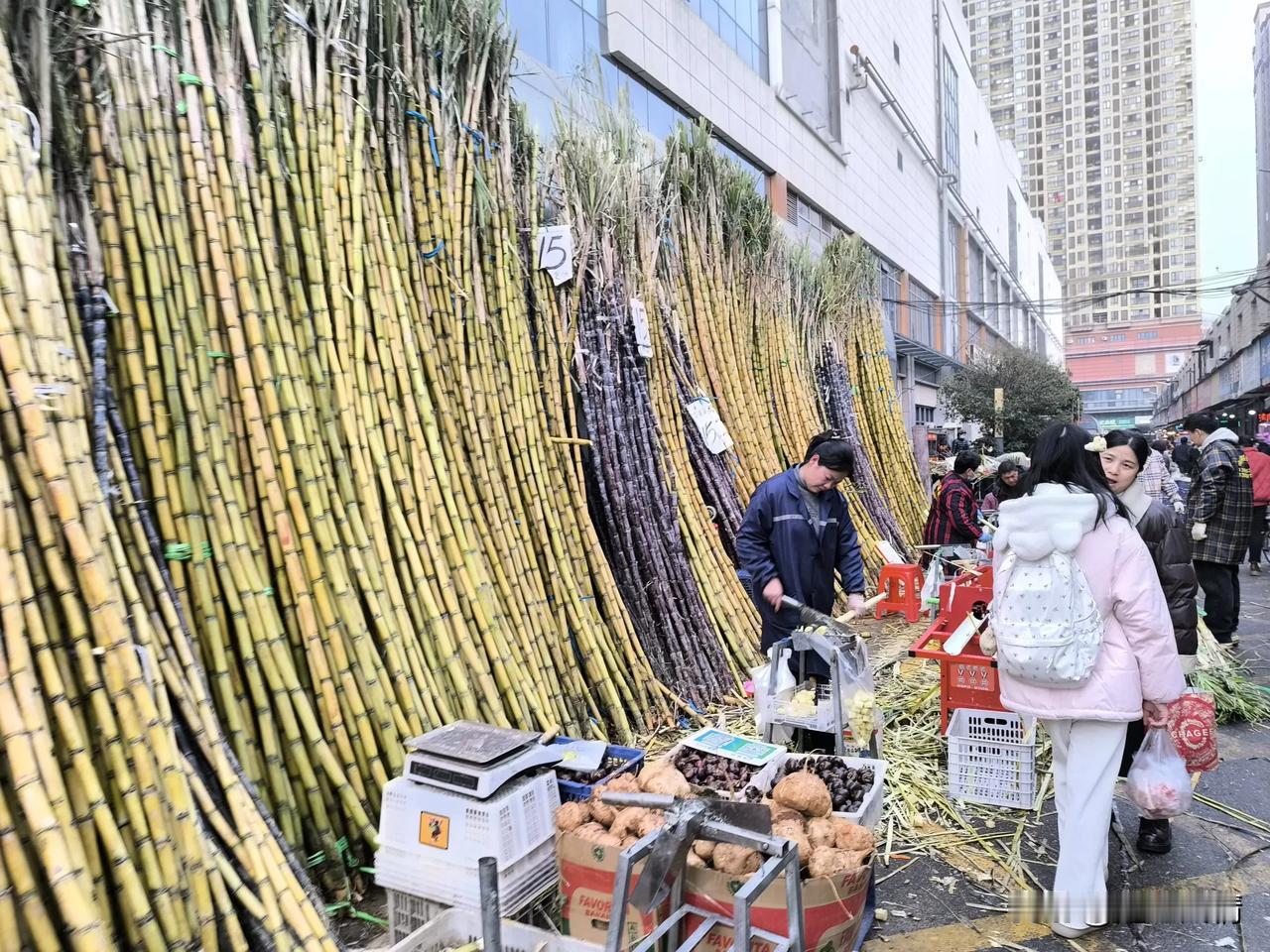 湖北省武汉市东西湖区：甘蔗堆积如山的场面，看着就很给力！视觉冲击也可促进消费，看