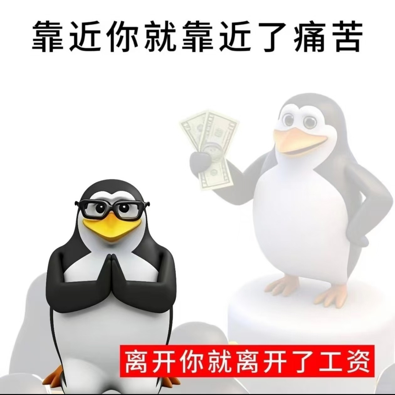 求职日常求职最玄学的环节，永远是HR的脑回路