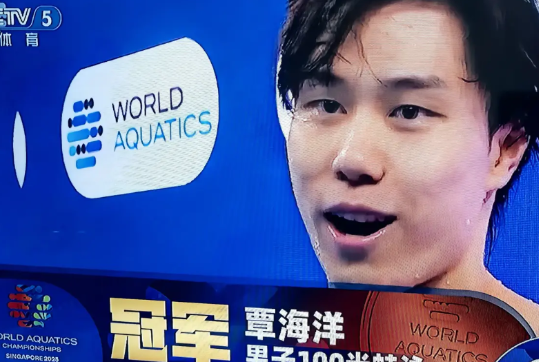 中国蛙王：覃海洋目前已经手握4枚世锦赛金牌中国蛙后：罗雪娟奥运会和世锦赛100