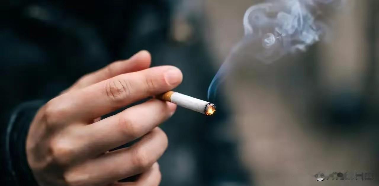 香港突然宣布了。就在2026年1月1日，在香港，由特区政府和卫生部门推出的新规