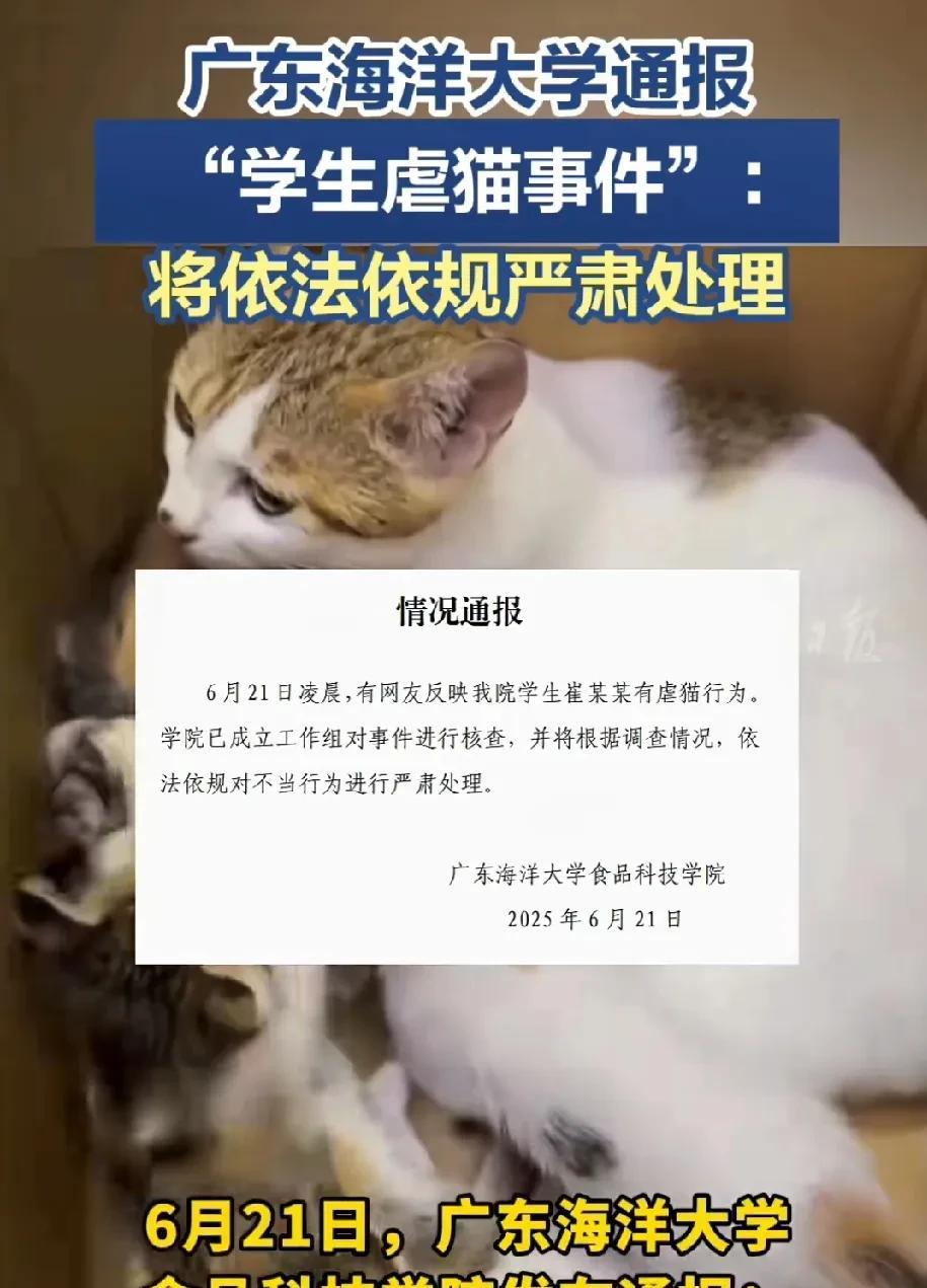 不知道大家刷到这个视频没有？昨天凌晨有网友在广东海洋大学宿舍楼下拍到揪心一幕：