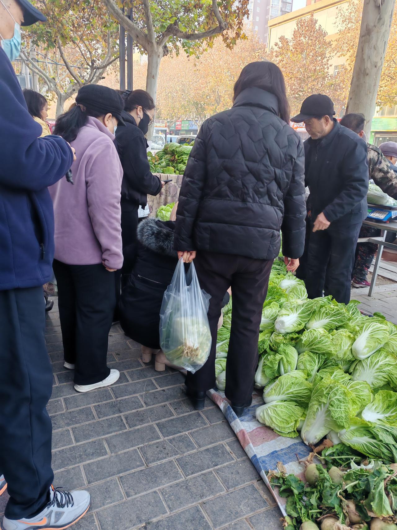 现在才真正理解物以稀为贵，今年的白菜可不是白菜价了12月11日，陕西西安。今