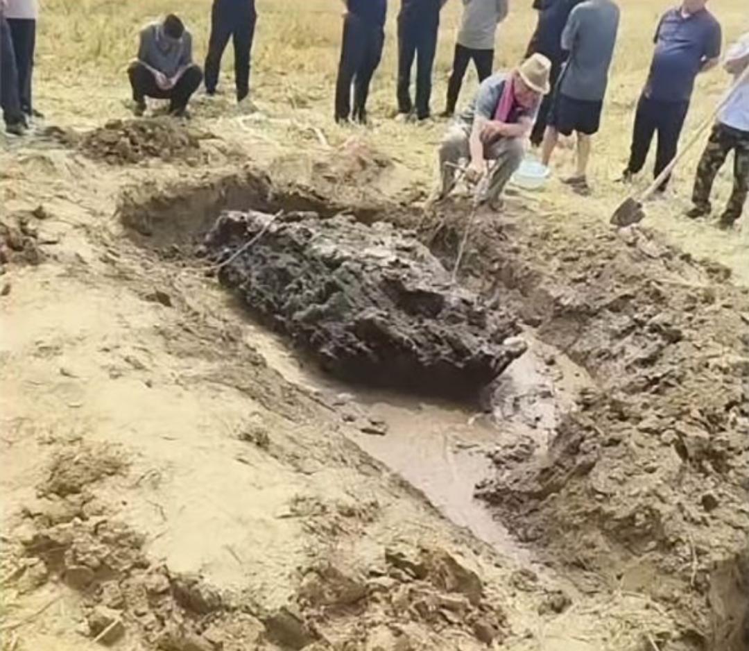 前一天还是平整的庄稼地。一夜雷雨，河北安平一块农田里凭空多了一块1.8米长的怪石