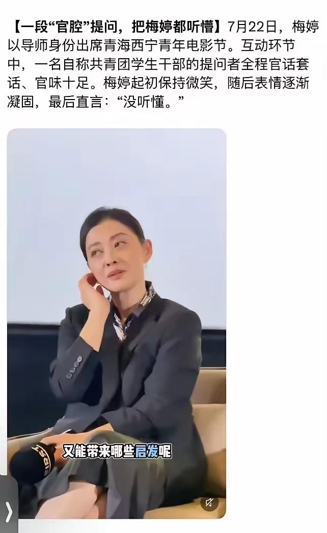 卢克文说演员梅婷听不懂的那个大学生的发言是"奇怪的翻译腔"，其实卢克文说的很克制