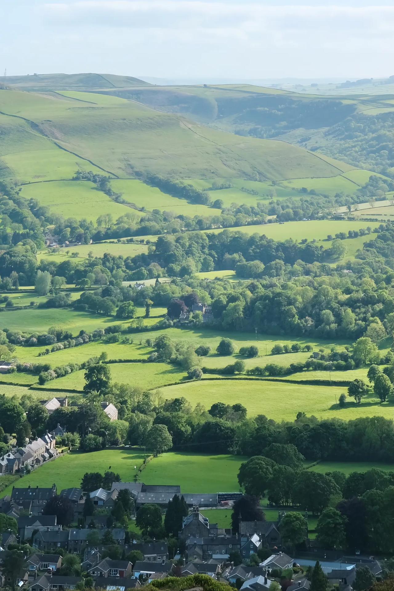 其实我也是某位教授的粉丝，但是我觉得某位教授还没有活出一定的境界，你毕竟是几百万