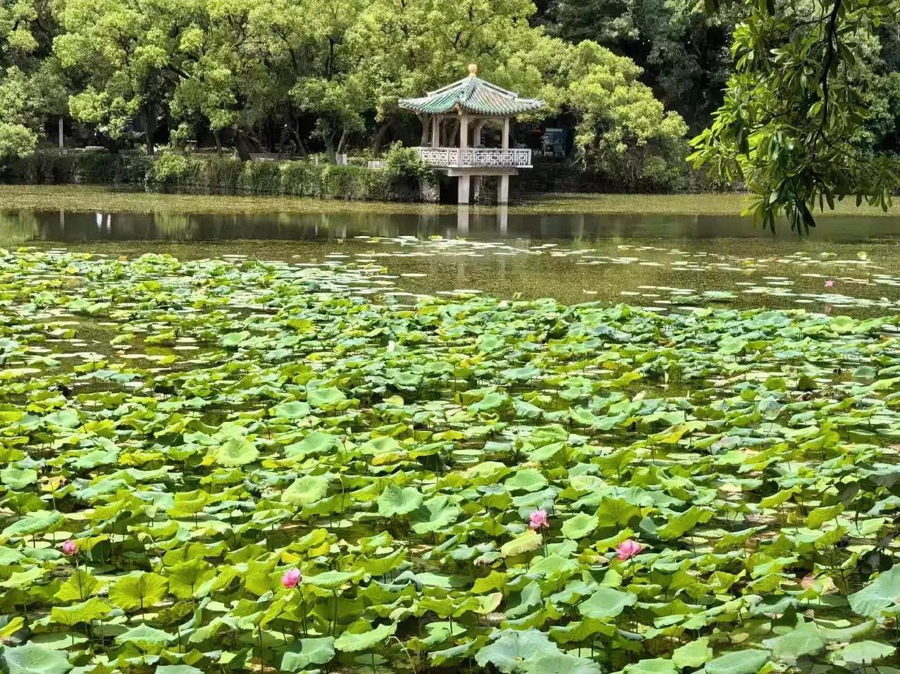 风水”一词的由来晋代郭璞所著的《葬经》。书中首次明确提出“风水”概念，并解释其