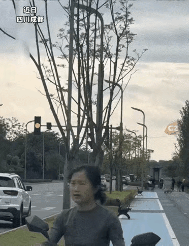 谁也没想到，川渝人的专属气场，居然能把两只鹦鹉治得服服帖帖。成都小姐