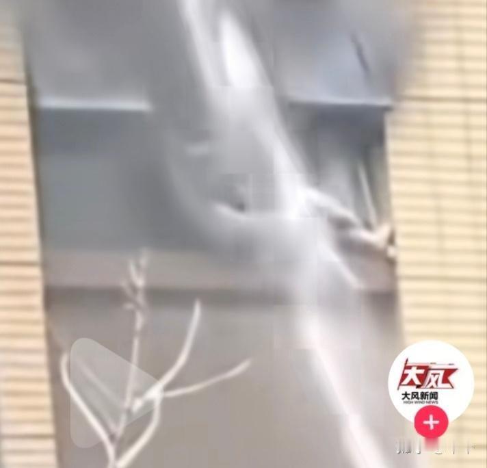 连云港火灾母女坠楼不是传播很广的五楼，是四楼哪怕围观群众扯床被子接着，都不至于死