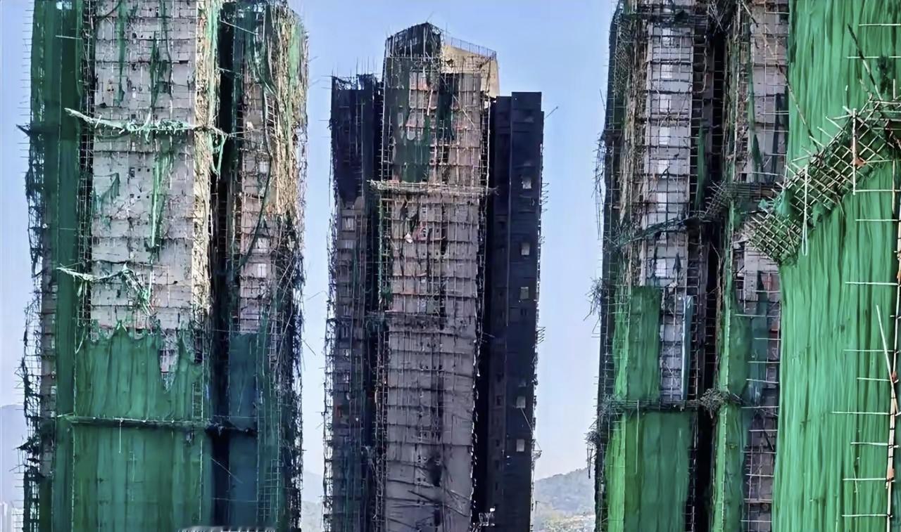 存在就是合理，竹棚架今天还被很多人使用，也肯定有它背后的原因。还有就是，很多人都