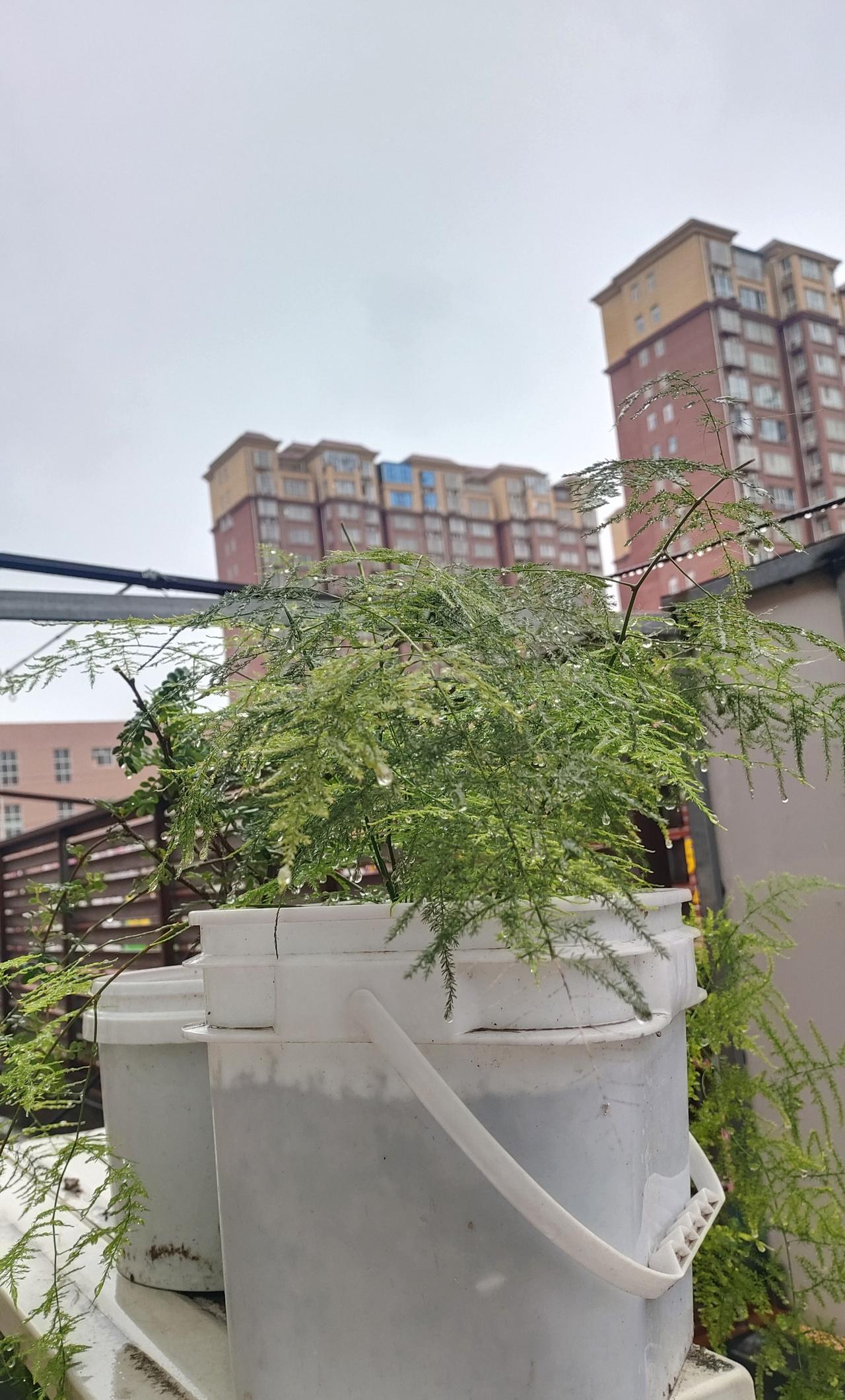 这天气太变化无常了，郑州前天最高温度还29，今天直接降到10~15°，还下了一天