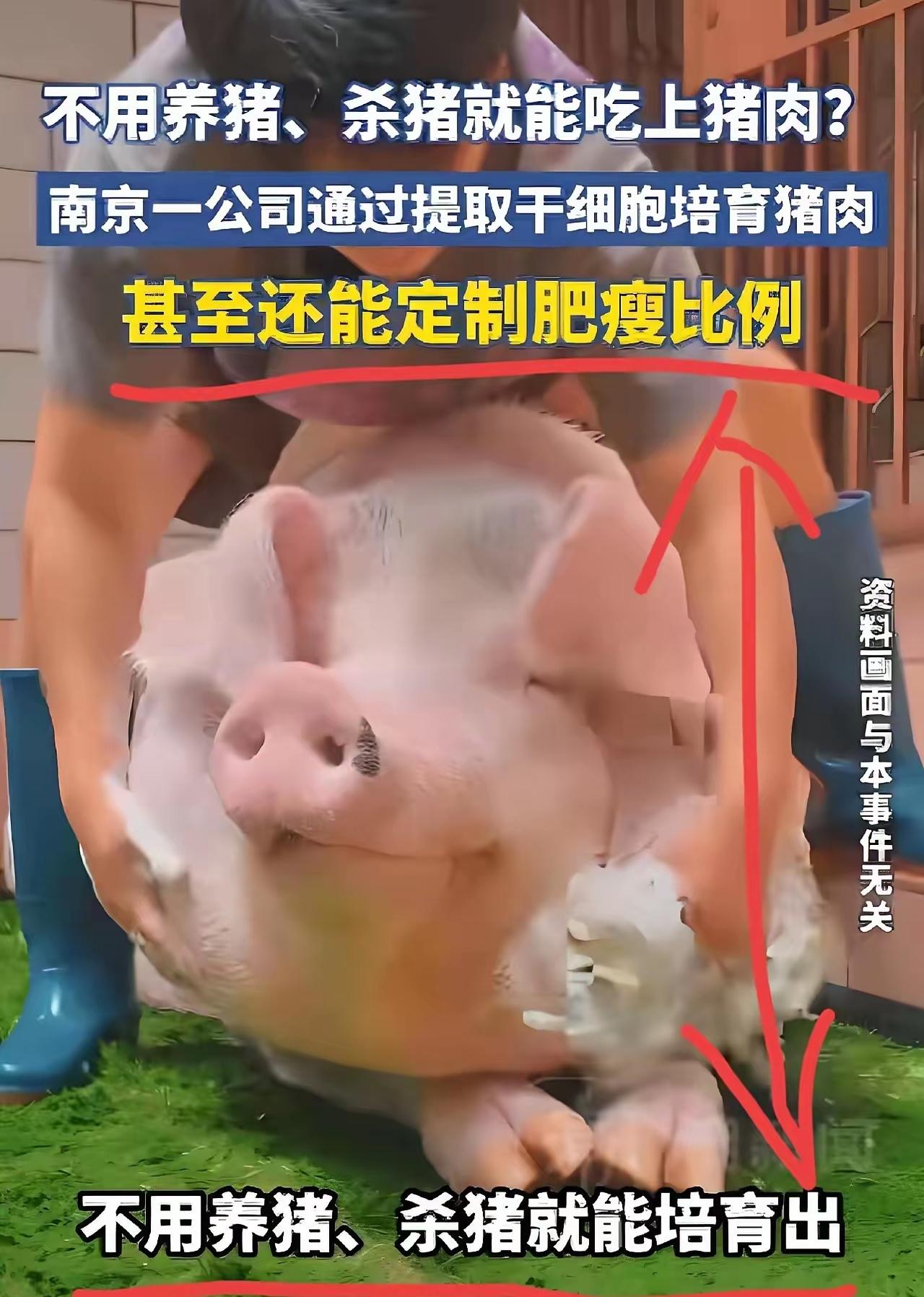 又要变天？真的太颠覆认知了！南京居然搞出了大事，不用养猪、不用杀猪，靠干细