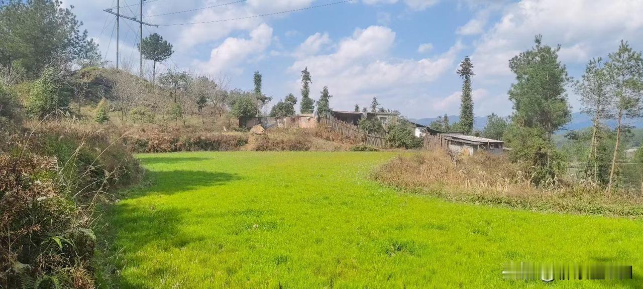 让你越来越成熟的10条人生建议：1.感情牌：弱者最后的遮羞布在利益交锋的谈判