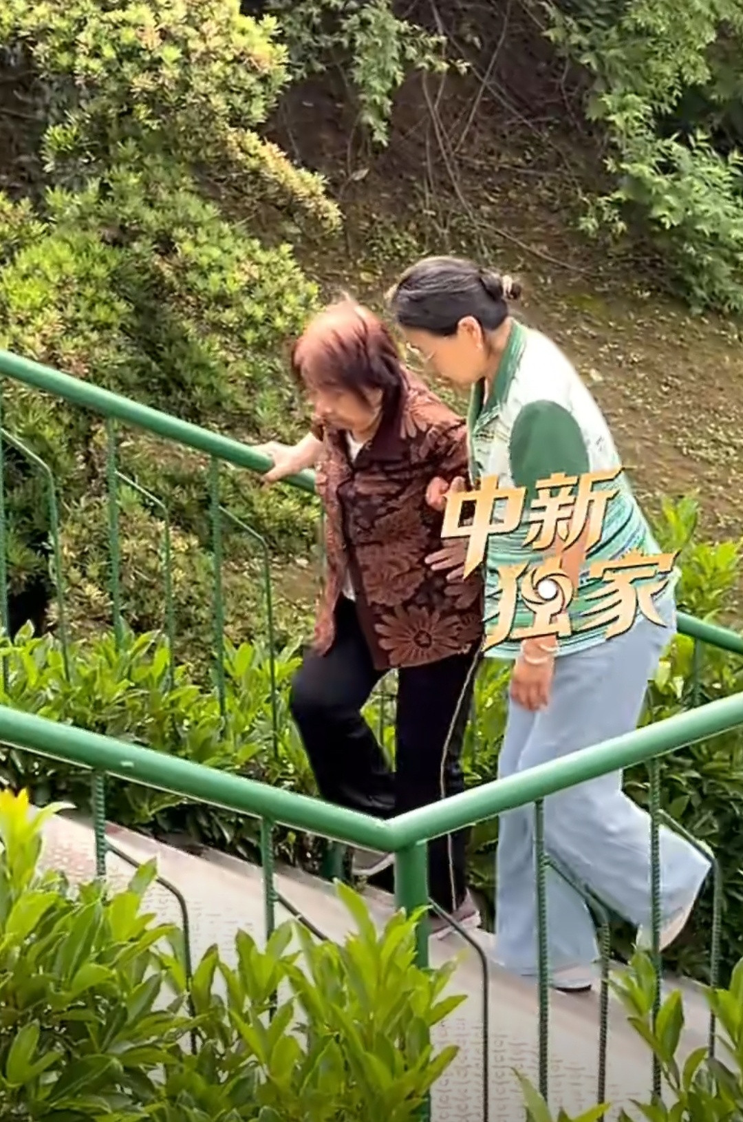 袁隆平夫人祭拜前拒绝了搀扶袁老夫人祭拜，拒人搀扶，此举如松之坚毅，令人动容。“