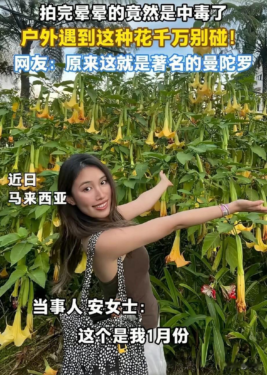 安女士去马来西亚游玩，看到路边的黄色喇叭花，看着非常的好看，出于好奇就上前