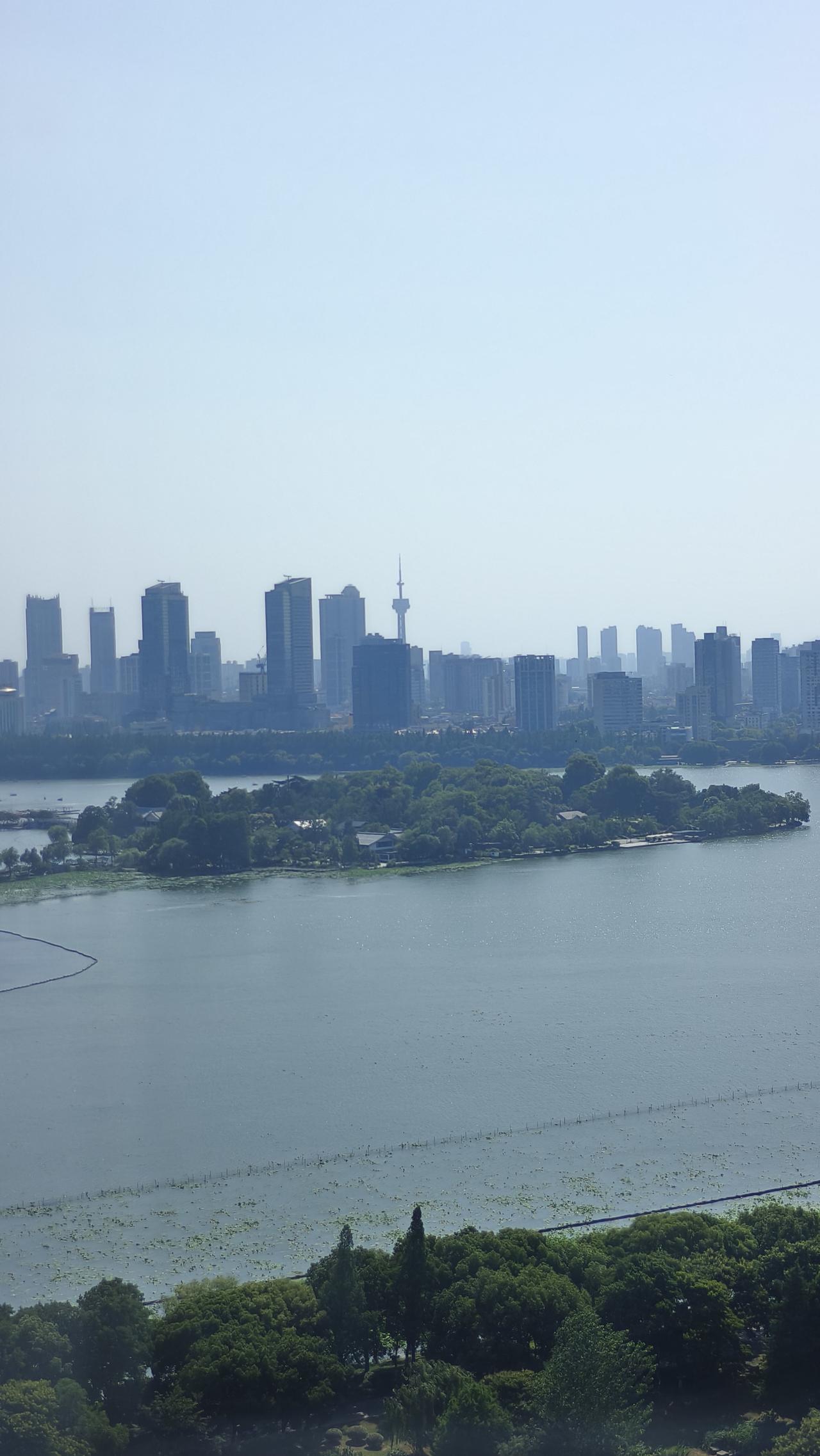 奇怪，今天南京玄武湖湖面上又看不到游船了。是天热的缘故吗？