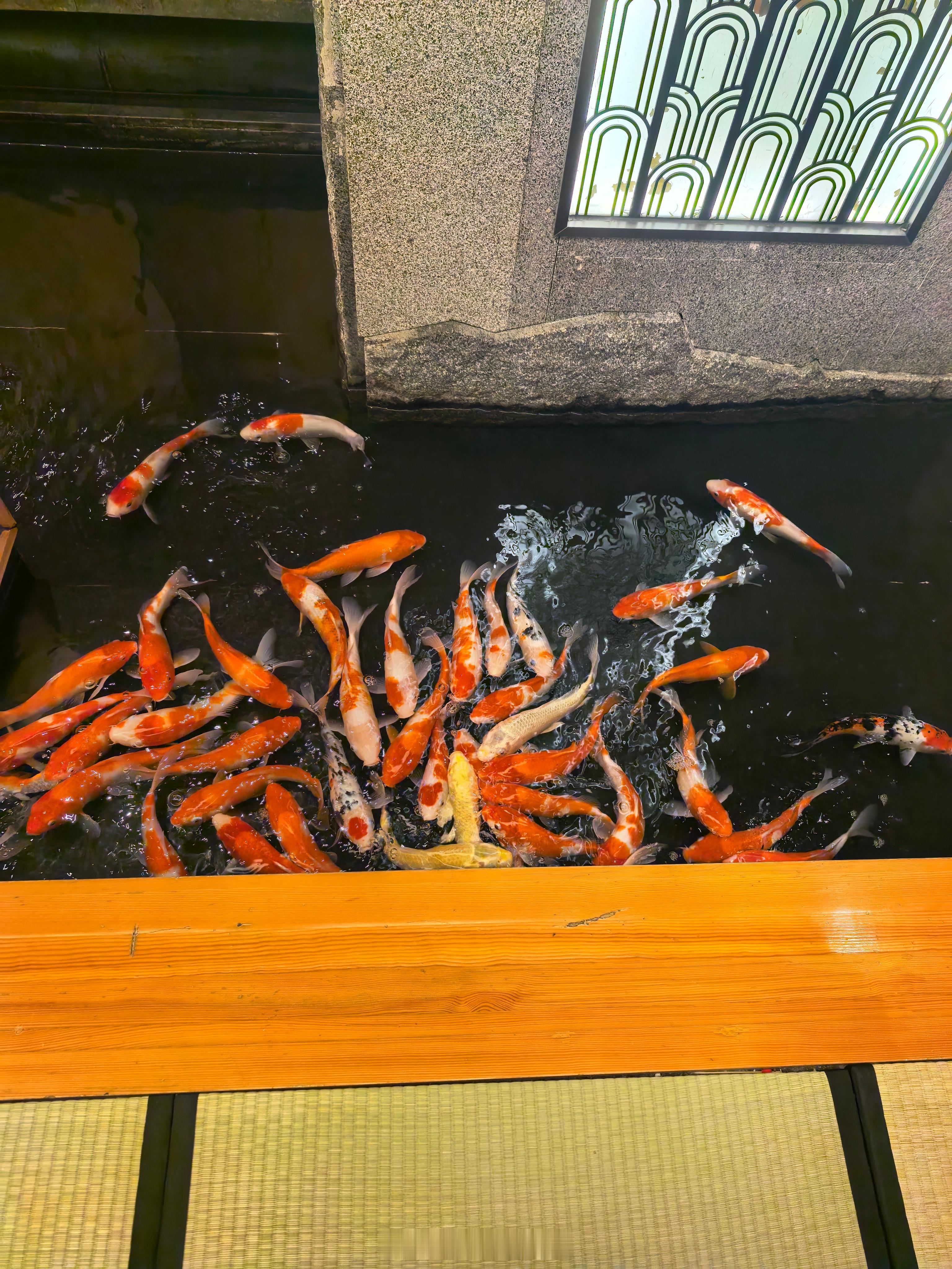 家人来杭州了带妈妈和姑姑吃一顿月龙吟她们都表示吃撑了但是眼没饱看啥都想