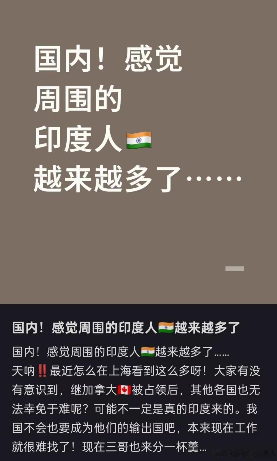 三钻空子真是绝了！留学、租房、开皮包公司，样样玩得溜。拖家带口来，拉帮结派留，靠