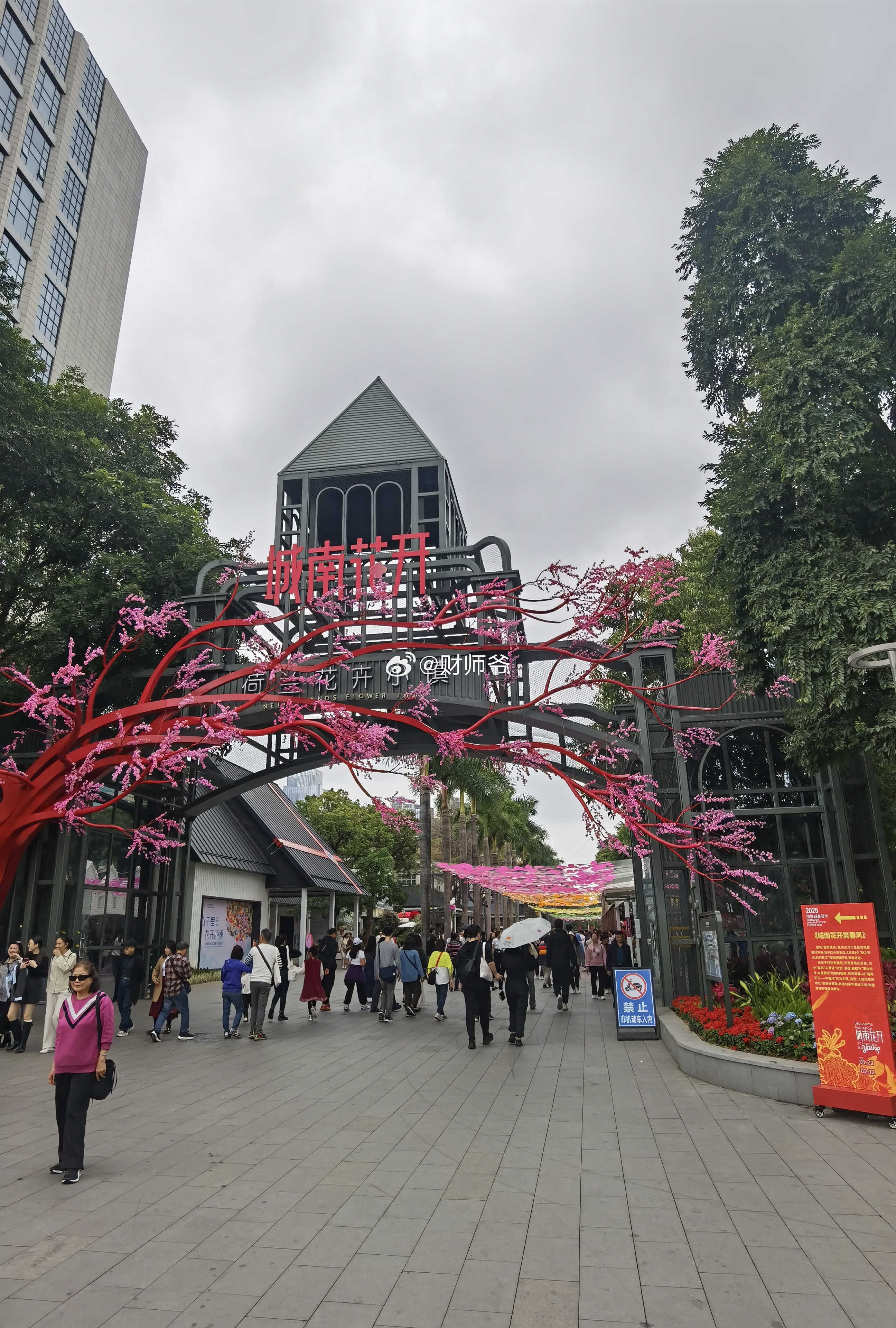 大年初四的深圳花市。卖鹦鹉的不加盖，说是幼鸟不会飞[捂脸哭]。但在绍兴花鸟市场，鹦