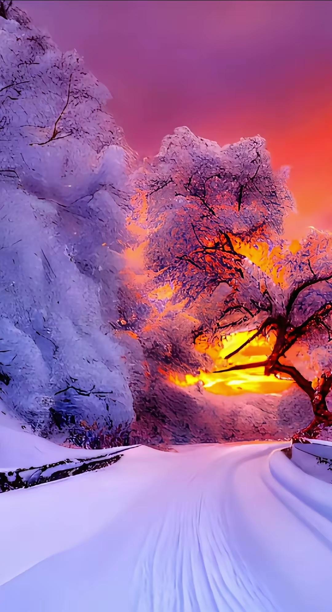 寒风裹着霜雪掠过，冬日便铺展开素净画卷。枝桠褪去葱茏，凝着细碎的冰棱，屋檐下悬着