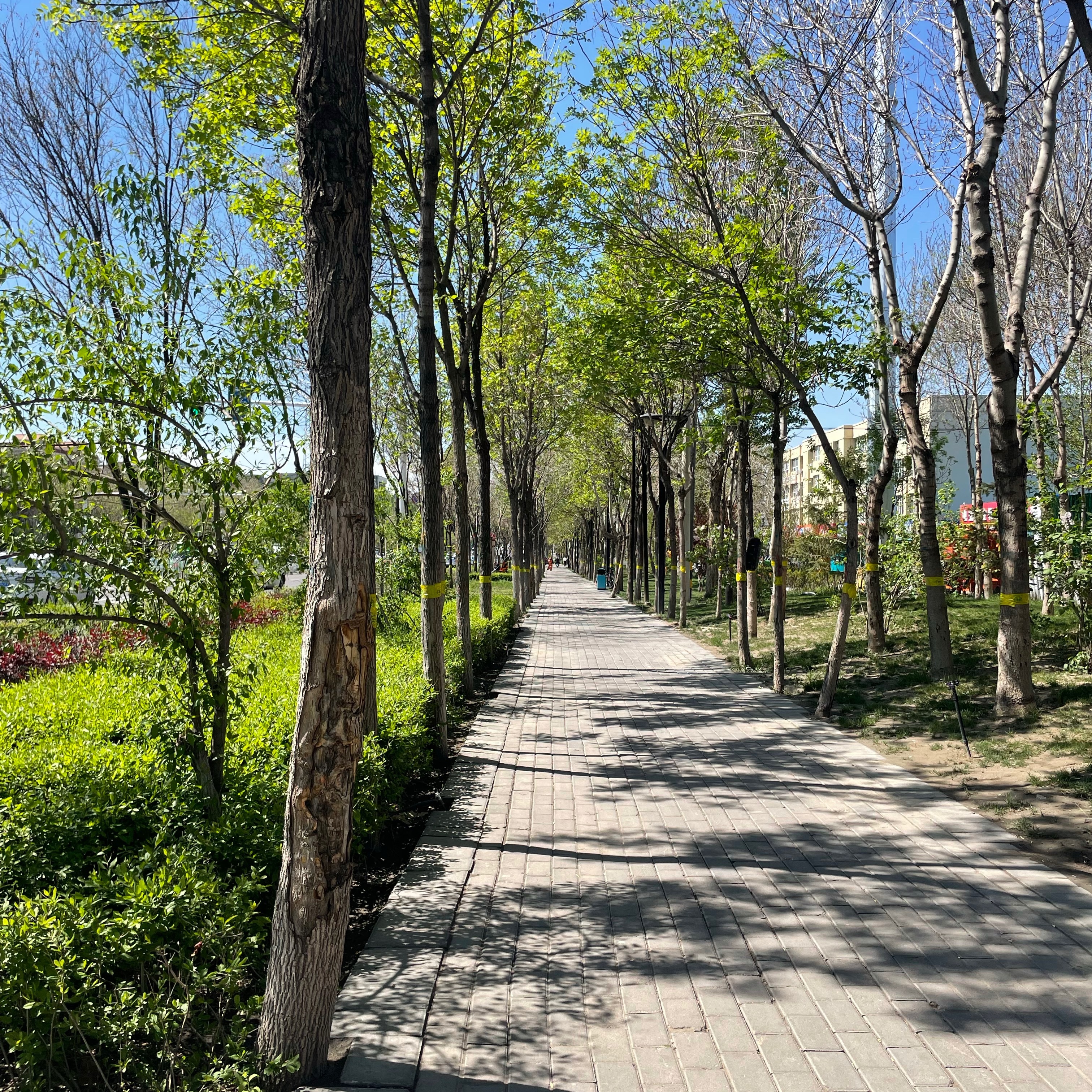 ◇多与大自然接触会放下一切焦虑◇正能量情感励志语录​​​