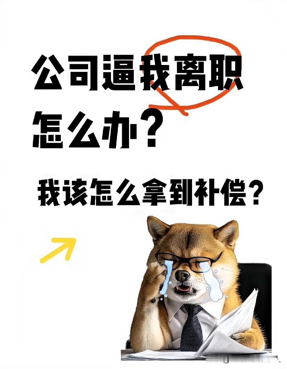40岁，被裁员。我笔一挥，签了。当天就滚蛋了。当时脑子就一根筋：赔