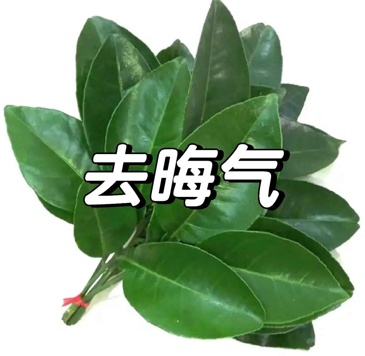 柚子叶去晦气！小人走开​​​