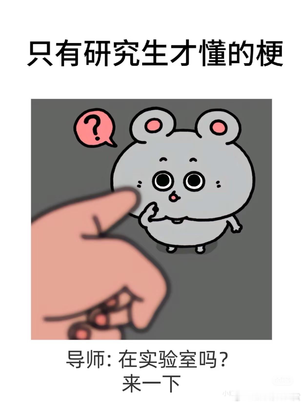 光看图已经在害怕了研究生​​​