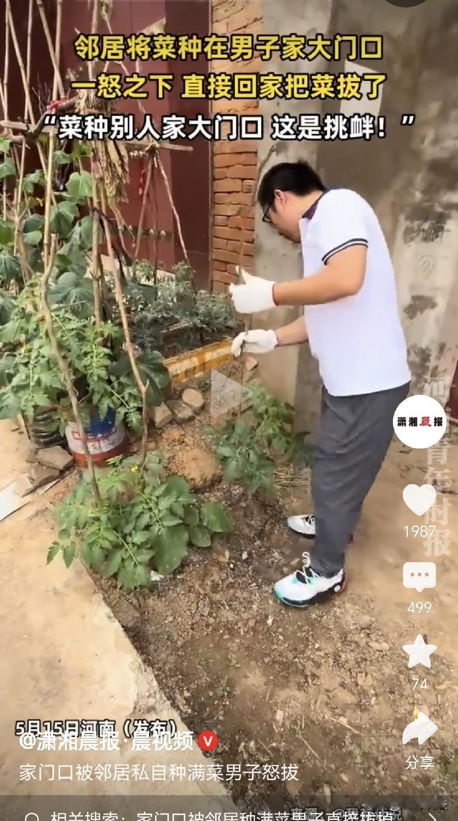 “再让下去，他就敢种你家门里！”河南，男子长期在外工作，家中无人居住，等他回来，