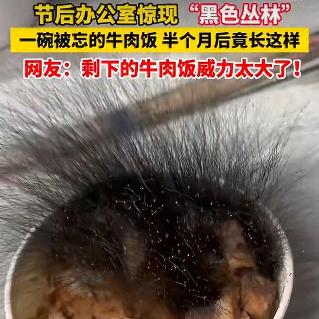 尹先生节后返工的惊魂经历，估计不少打工人看完都得拍大腿。节前匆忙返乡，他把给小狗