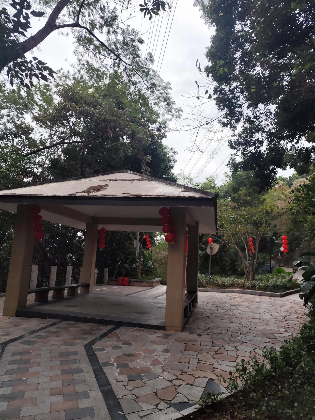 扶灯大师跳江这个事，先不说谁对谁错，但一个佛祖连自己的弟子信徒都保护不了，信你还