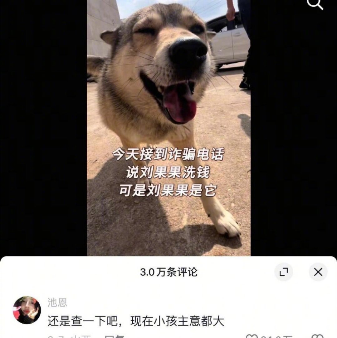救命！熊孩子又双叒叕“闯祸”了！这波离谱操作笑到扶墙，家长们快来“认领”，管管你